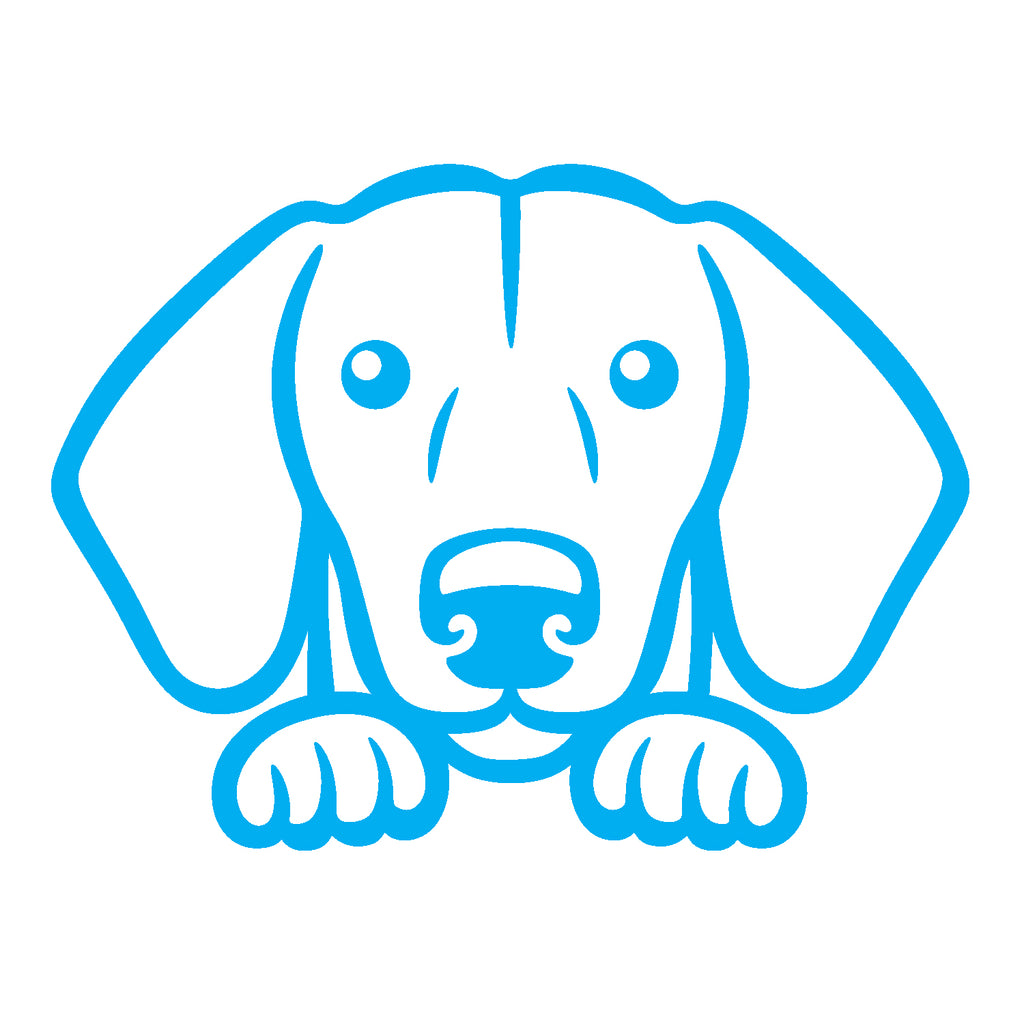 dachshund dog peeking v1 single color transfer type decal