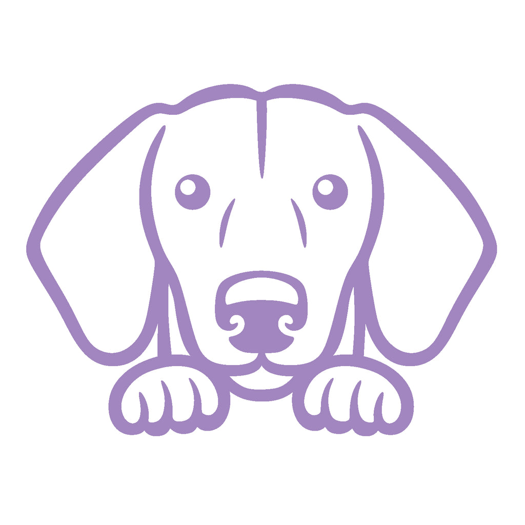 dachshund dog peeking v1 single color transfer type decal