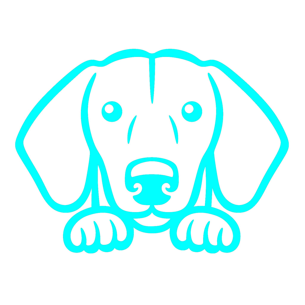 dachshund dog peeking v1 single color transfer type decal