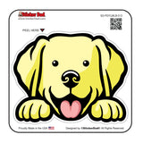 yellow lab peeking 513 dog peeking - full color printed sticker