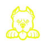 pitbull dog peeking v1 single color transfer type decal